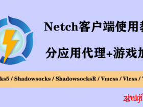 最新版Netch客户端 详细使用图文教程-Windows下的游戏加速工具